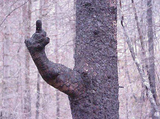 Odd Finds And Situations (45 pics)