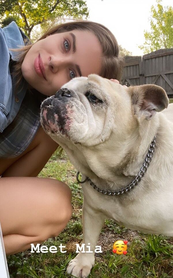 Girls With Puppies (32 pics)