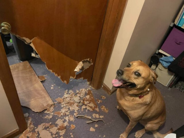 Bad Days Happen (20 pics)