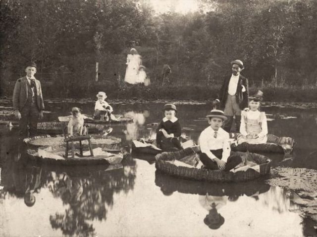 Creepy Photos (35 pics)