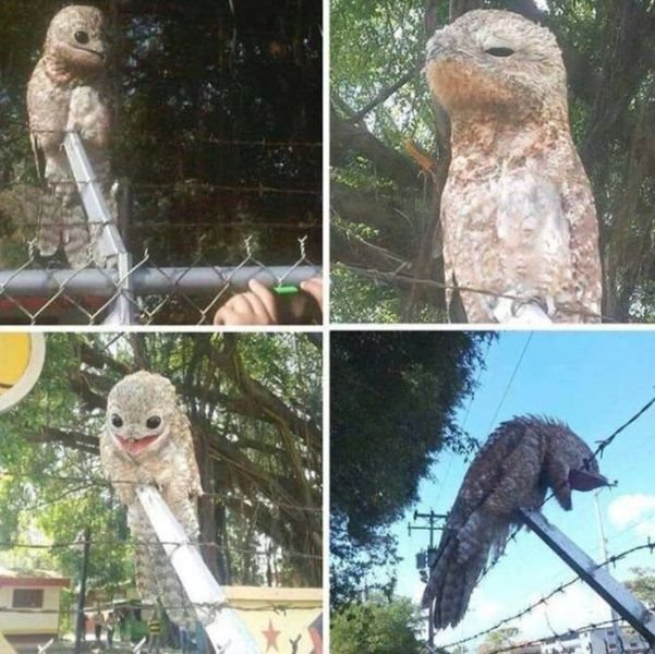 Creepy Photos (35 pics)