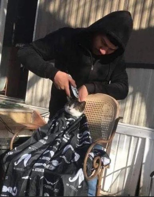What Is Going On Here? (28 pics)