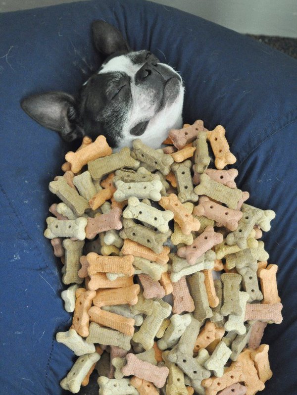 What Is Going On Here? (28 pics)
