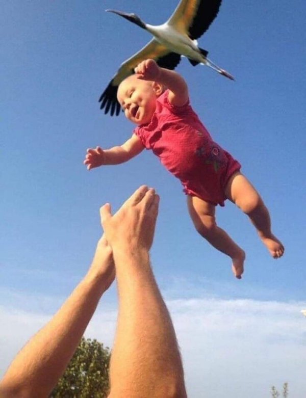 What Is Going On Here? (28 pics)