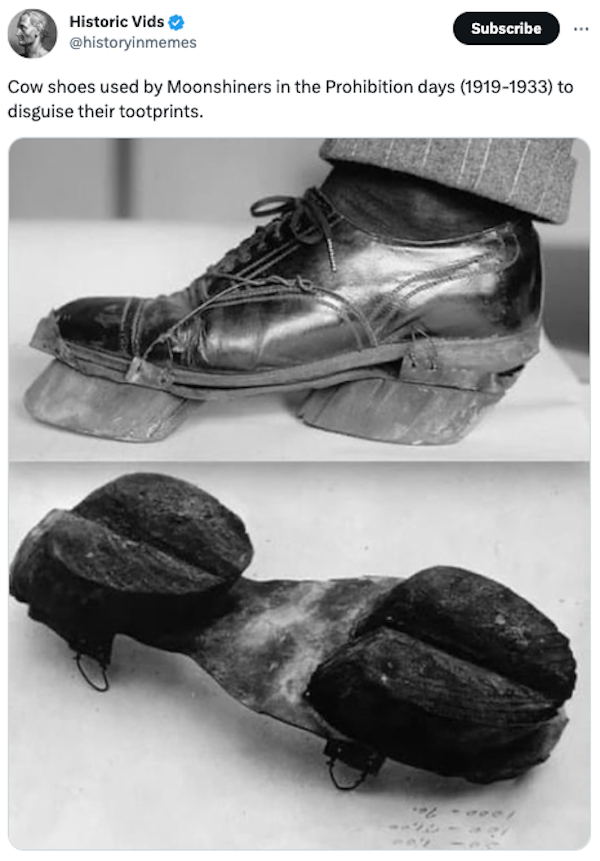 Interesting Historical Photos (32 pics)