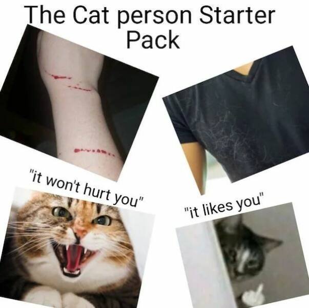 Funny ''Starter Packs'' (26 pics)