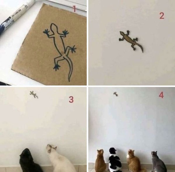 Cat Traps (30 pics)