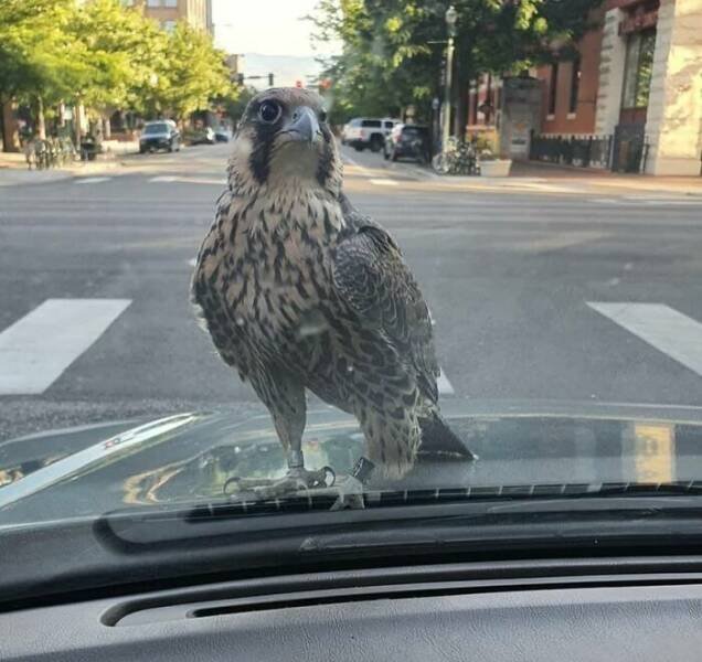 Unexpected Finds On The Road (25 pics) Unexpected Finds On The Road (25 pics)