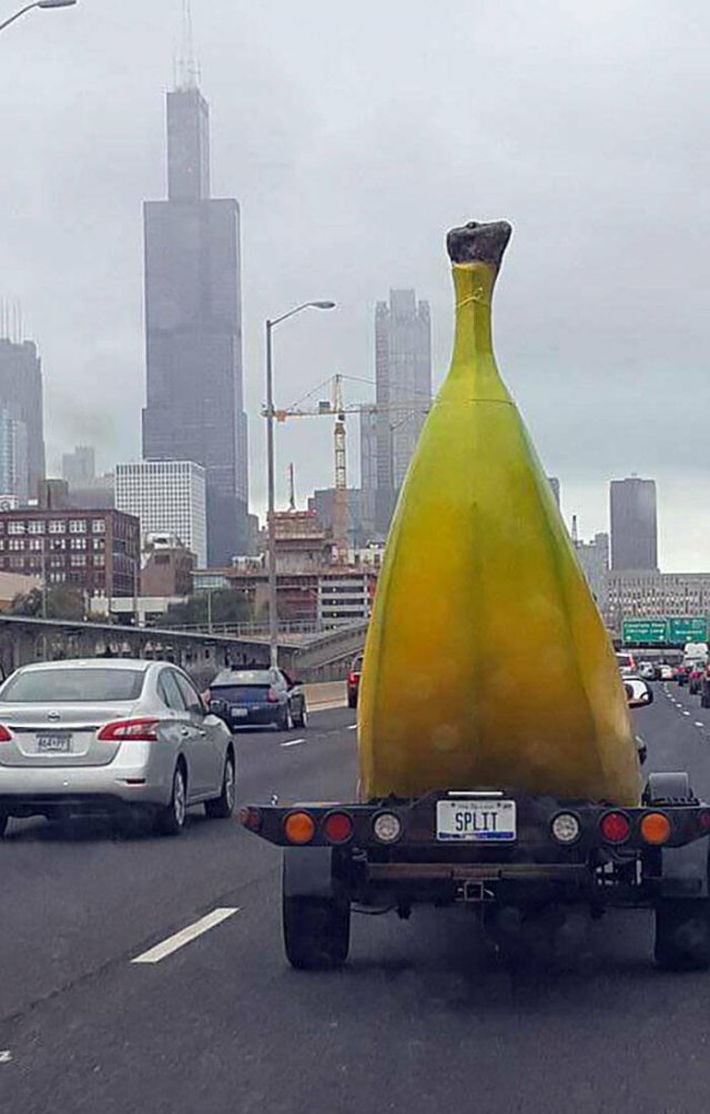 Unexpected Finds On The Road (25 pics) Unexpected Finds On The Road (25 pics)