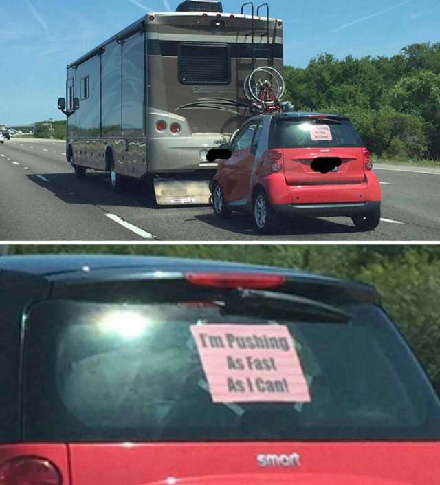 Unexpected Finds On The Road (25 pics)