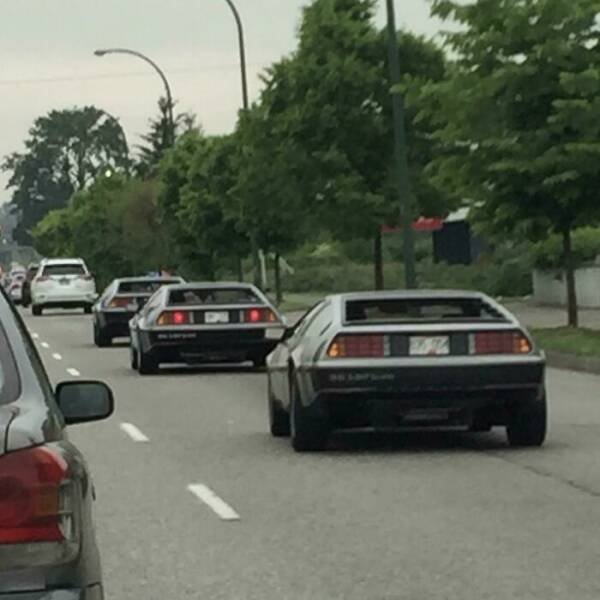 Unexpected Finds On The Road (25 pics)