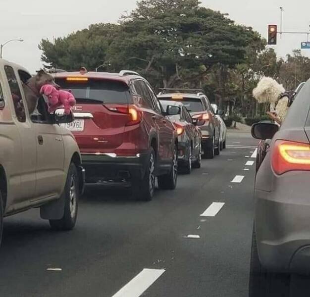 Unexpected Finds On The Road (25 pics) Unexpected Finds On The Road (25 pics)