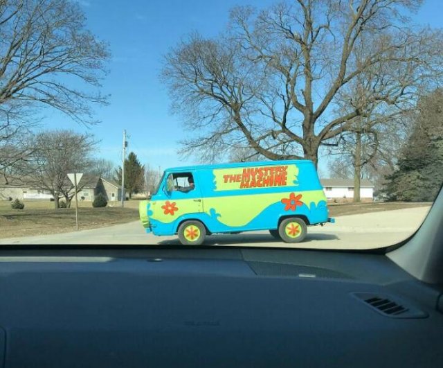 Unexpected Finds On The Road (25 pics)