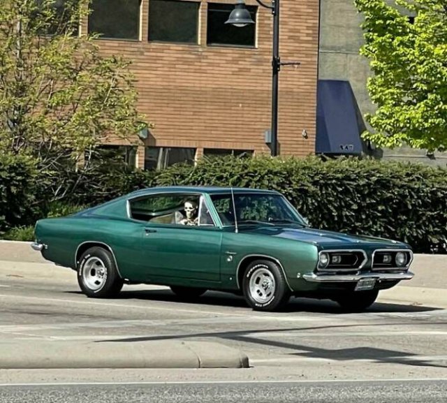 Unexpected Finds On The Road (25 pics)