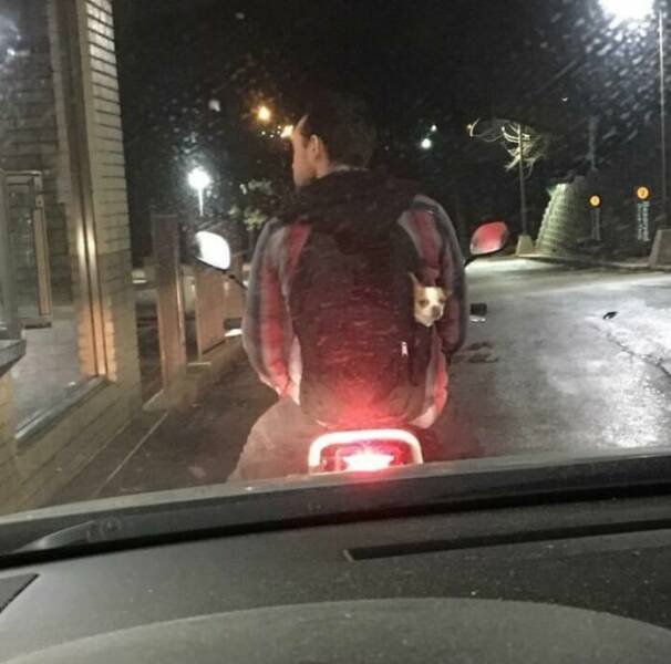 Unexpected Finds On The Road (25 pics)