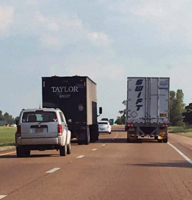 Unexpected Finds On The Road (25 pics)