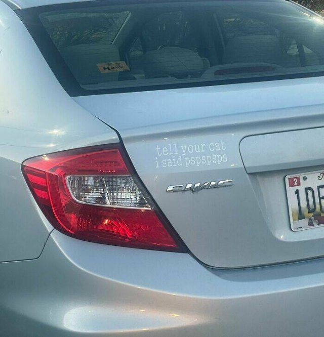 Unexpected Finds On The Road (25 pics) Unexpected Finds On The Road (25 pics)
