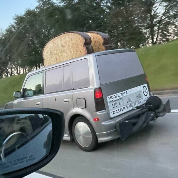 Unexpected Finds On The Road (25 pics)