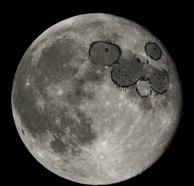 Science Memes (23 pics)