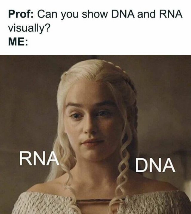 Science Memes (23 pics)