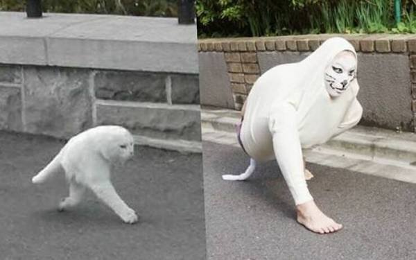 What Is Going On Here? (38 pics)