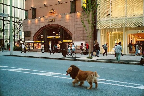 What Is Going On Here? (38 pics)