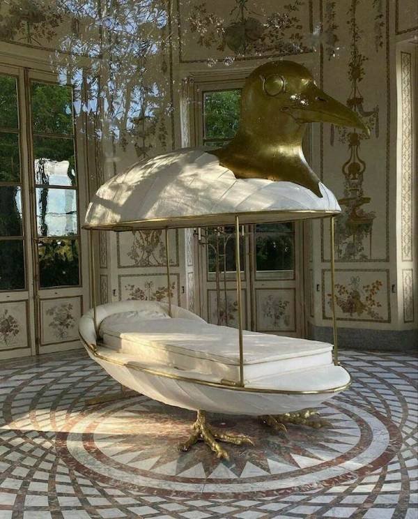 What Is Going On Here? (38 pics)