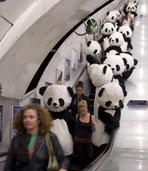 Weird Asians (46 pics)
