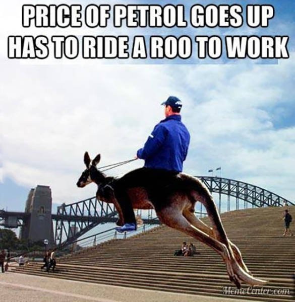 Unusual Things From Australia (43 pics)