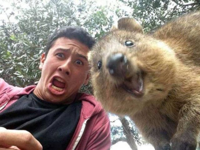 Unusual Things From Australia (43 pics)
