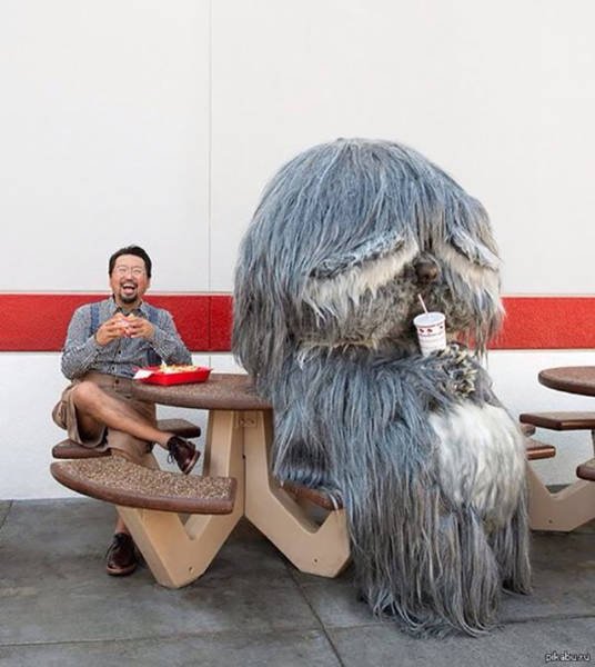Weird Asians (46 pics)