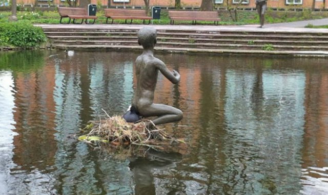 Bird Nests In Random Places (25 pics)