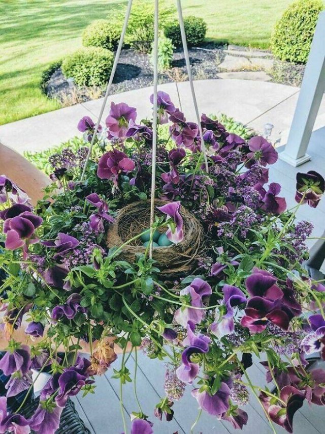 Bird Nests In Random Places (25 pics)