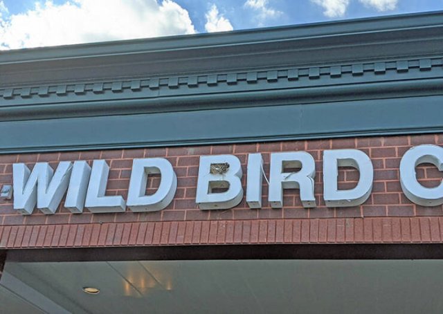 Bird Nests In Random Places (25 pics)