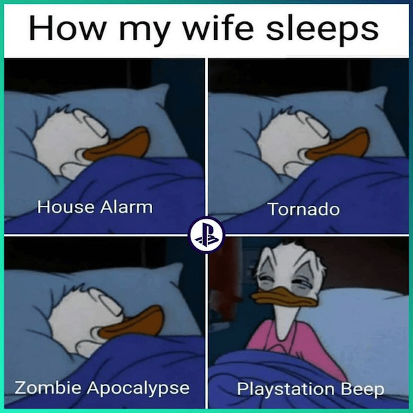 Memes For Gamers (29 pics)