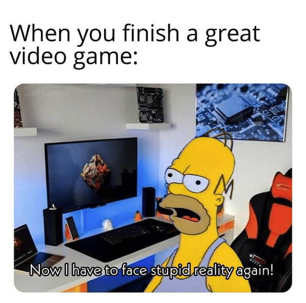 Memes For Gamers (29 pics)