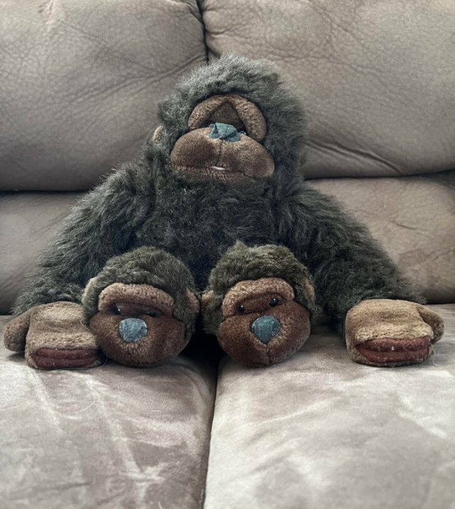 Amazing And Unusual Finds (29 pics) Amazing And Unusual Finds (29 pics)