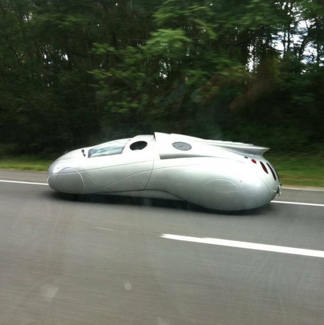 Amazing And Unusual Finds (29 pics) Amazing And Unusual Finds (29 pics)