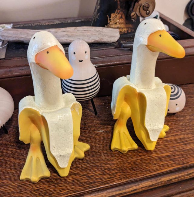 Amazing And Unusual Finds (29 pics) Amazing And Unusual Finds (29 pics)