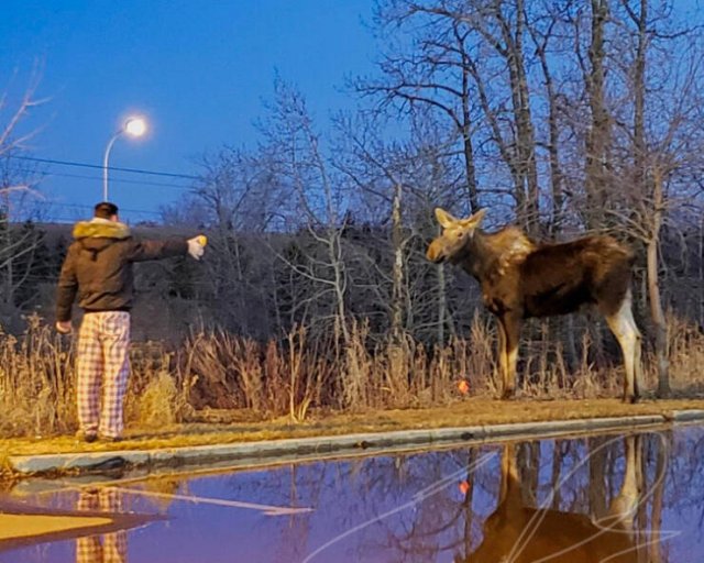 Amazing And Unusual Finds (29 pics)