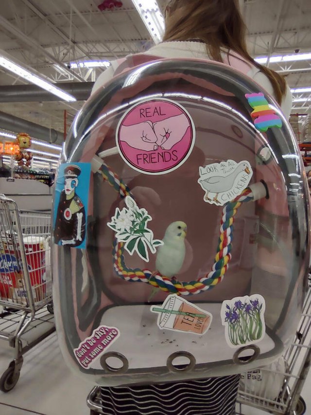 Amazing And Unusual Finds (29 pics) Amazing And Unusual Finds (29 pics)