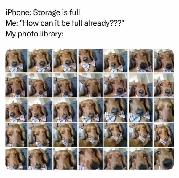 Funny Memes (19 pics)