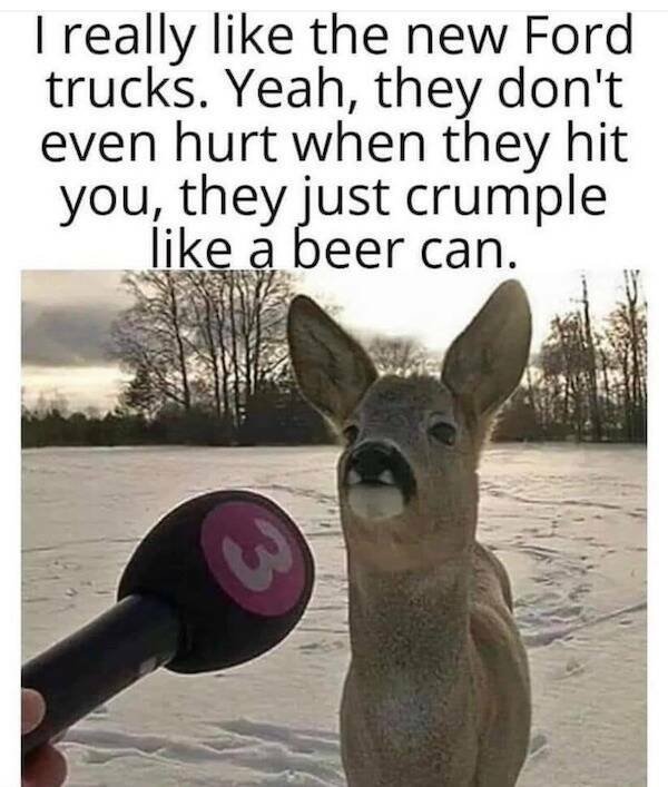 Truthful Memes (19 pics)