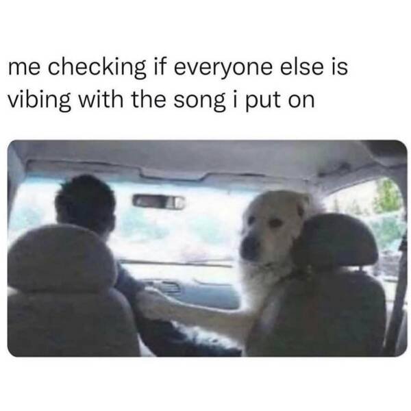 Funny Memes (19 pics)