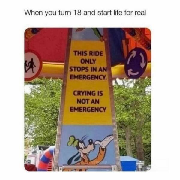 Funny Memes (19 pics)