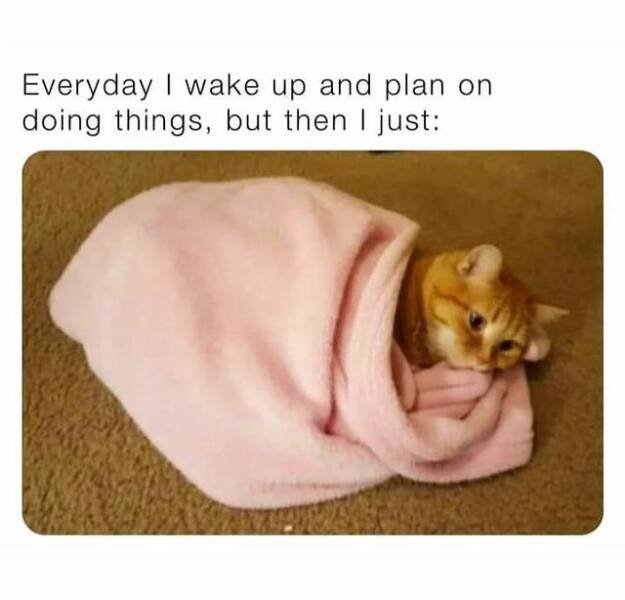 Funny Memes (19 pics)