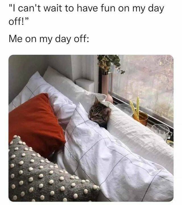 Funny Memes (19 pics)