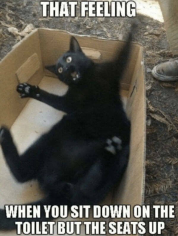 Truthful Memes (19 pics)