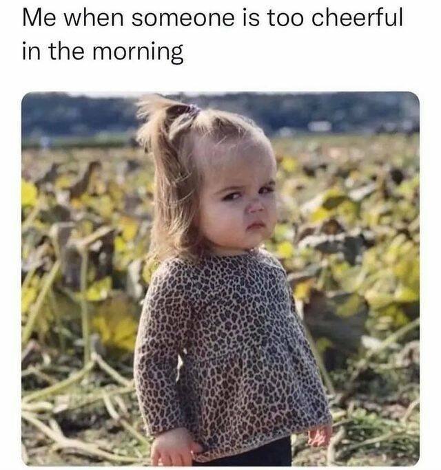 Funny Memes (19 pics)
