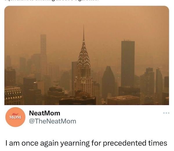 Memes About Smog In New York (25 pics)